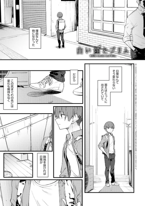 【エロ漫画】スピリタス太郎/淡く、濃い、恋。【デジタル特装版】 試し読みサンプル 25ページ目