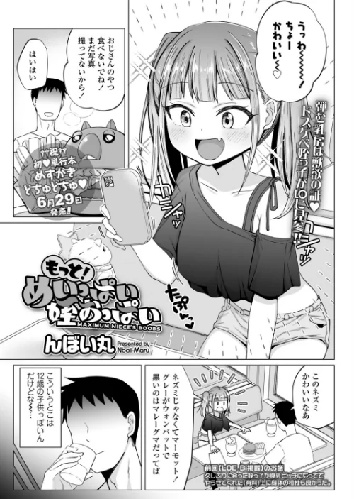 【エロ漫画】んぼい丸/もっと!めいっぱい姪おっぱい(単話) 試し読みサンプル 2ページ目